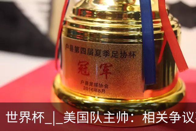 世界杯 | 美国队主帅：相关争议不是失利的借口